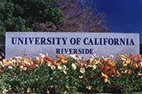 カリフォルニア大学