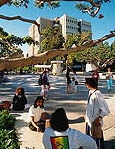 カリフォルニア大学アーバイン