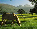 ihdublin1.jpg