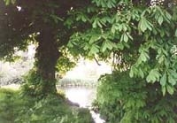 インターナショナルランゲージサービスズマリアンカレッジ